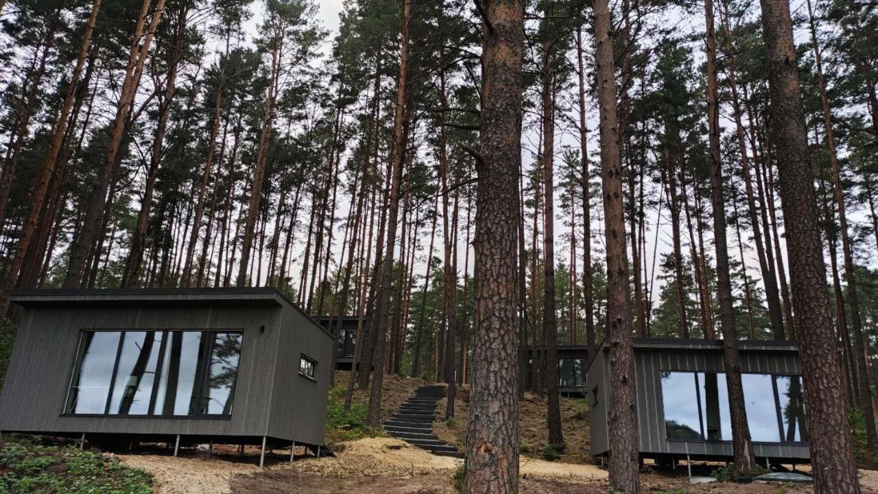 Gaujaclub - Our Bose And Bang&Olufsen Lofts On A Lake Gauja  Exterior foto