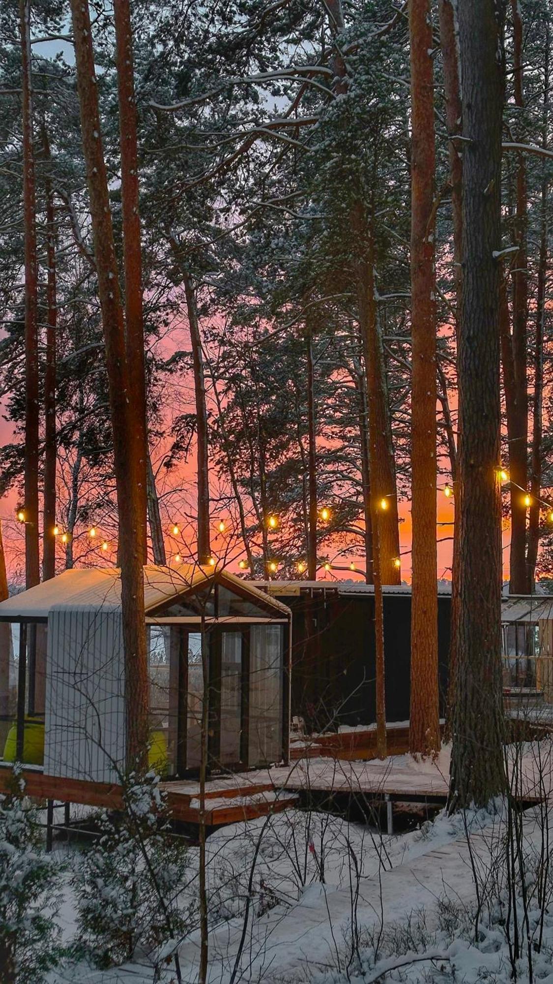 Gaujaclub - Our Bose And Bang&Olufsen Lofts On A Lake Gauja  Exterior foto