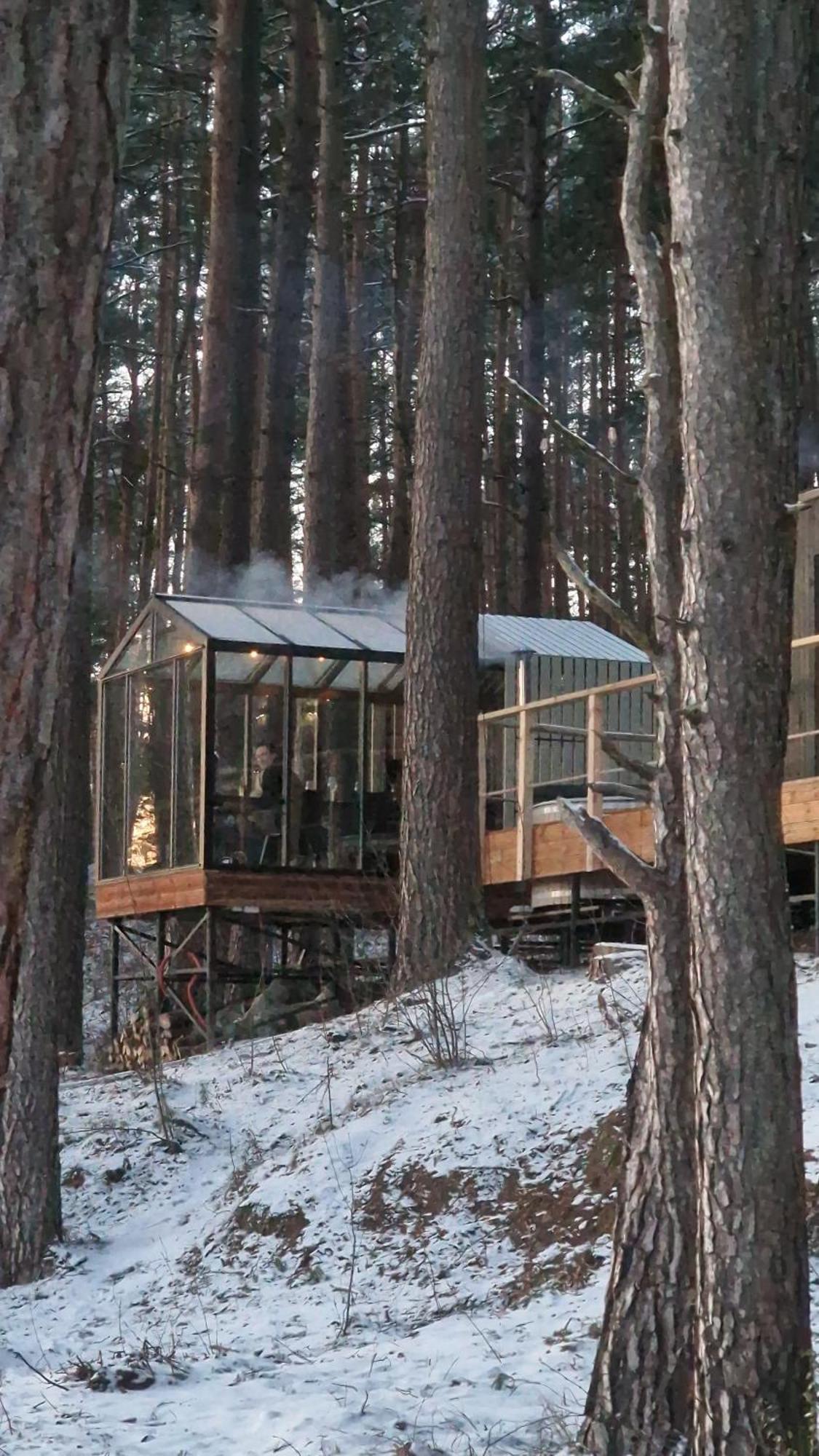 Gaujaclub - Our Bose And Bang&Olufsen Lofts On A Lake Gauja  Exterior foto